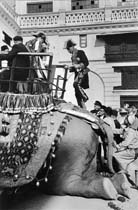 IND46