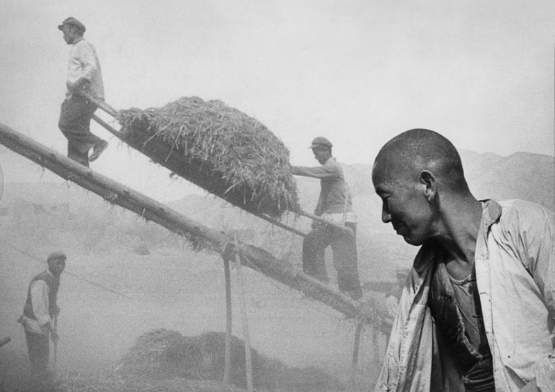 China, 1957. Harvest in Shaanxi province.
