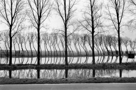 Netherlands, 1994. Strange reflections in a Dutch canal.