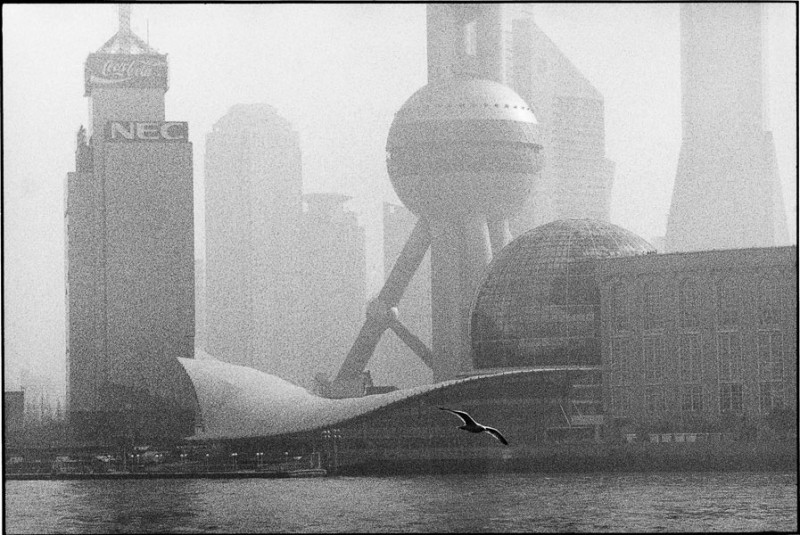 China, 2002. In the port district of Pudong, a real seagull flies in front of a theater in a shape of a giant gull.