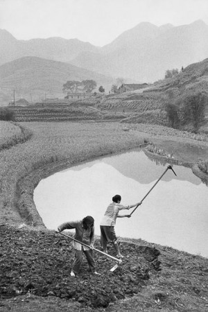 Travail de la terre dans la province du Sichuan, 1957