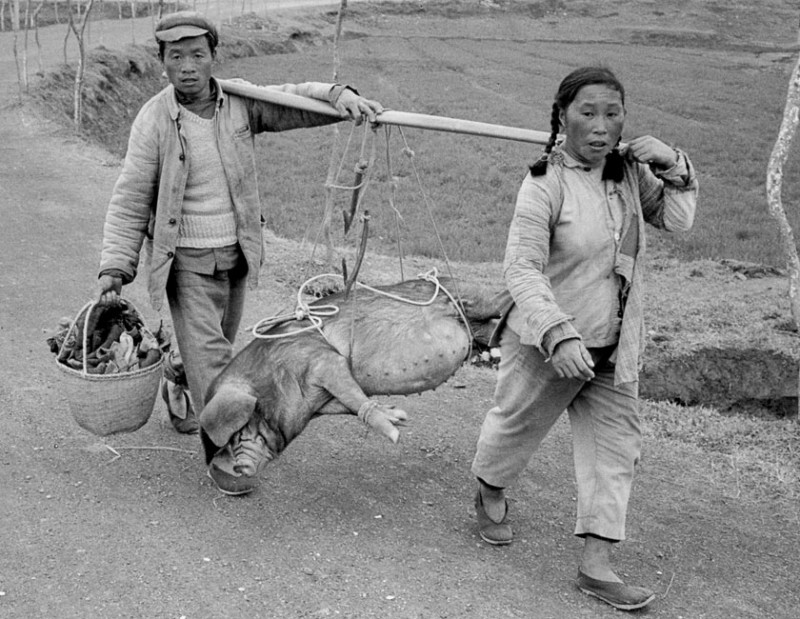 Paysans en route pour le marché, 1965