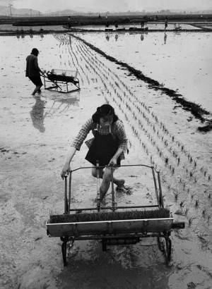 Paysans dans la province du Guangxi, 1965