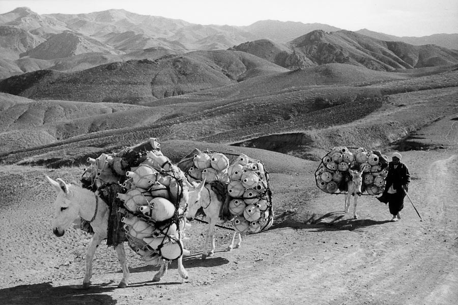 Près de la frontière turque, 1955