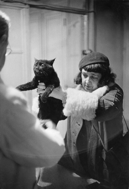Clinique gratuite pour animaux, créée sous le patronage du duc de Windsor, et entre autres de l’écrivain Colette, 1953